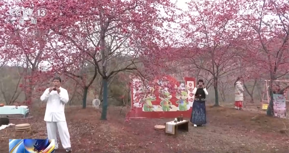 &ldquo;县域游&rdquo;&ldquo;滨海游&rdquo;&ldquo;赏花游&rdquo;热力足 文旅市场释放高质量发展新潜力