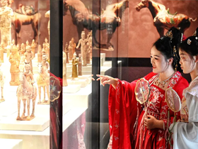 Luoyang's 27 Cultural Venues and Museums to Launch 115 Activities During Spring Festival