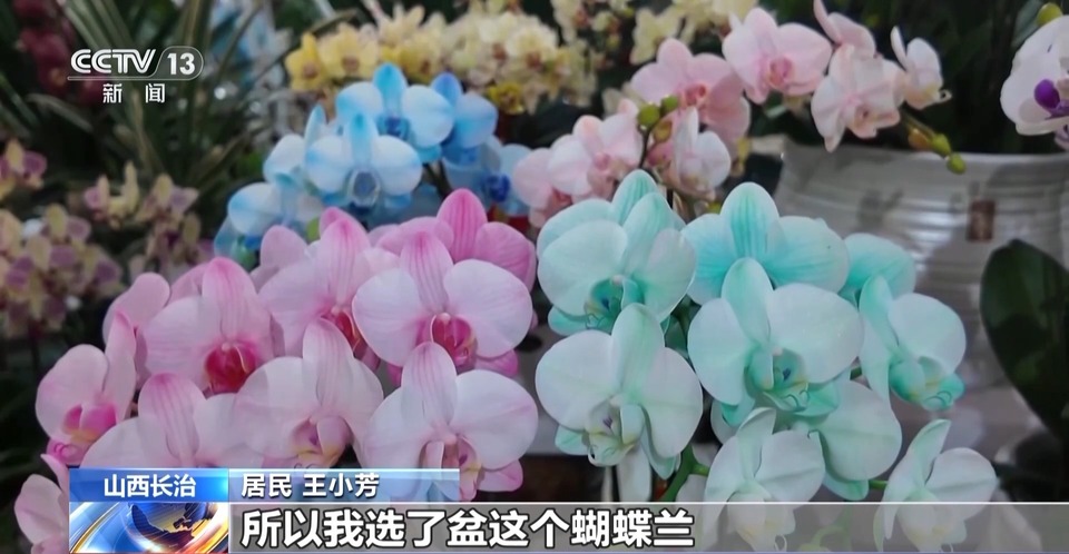 深圳“潮”商圈 长治“花”样年 新春消费“热辣滚烫”