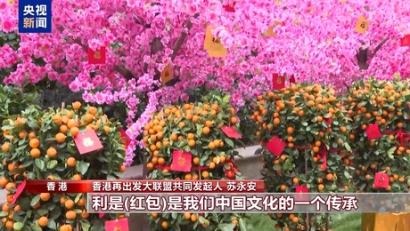 喜乐安宁中国年 香港年宵花市香四溢