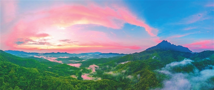 海南热带雨林国家公园设立三周年 守护青山绿水 奏响生态乐章