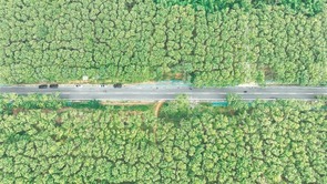 环热带雨林国家公园旅游公路正式通车