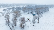 呼和浩特：春雪绘仙境