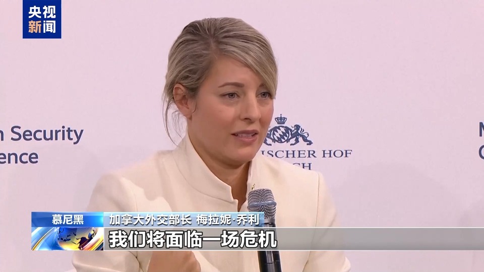 多国政商界人士批美挥舞“关税大棒”：或引发贸易战损害全球经济
