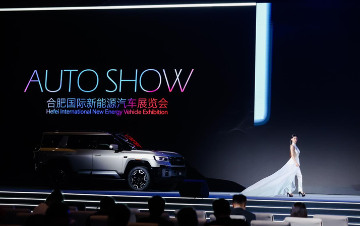 2024合肥国际新能源汽车展览会AUTO SHOW专场活动举行