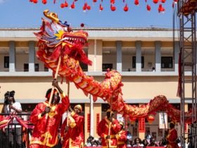 “欢乐春节”活动在多国举行