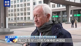 总台记者专访丨欧洲议会前副议长：欧洲应摆脱追随美国政策 追求战略自主