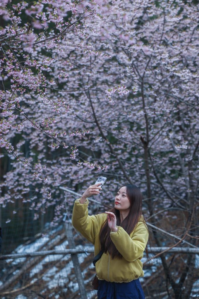 浙江建德万亩山花迎春来 特色美景助力乡村共富