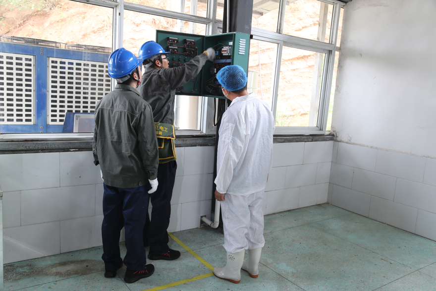 State Grid Nanyang Power Supply Company strives to ensure reliable power for fruit wine production