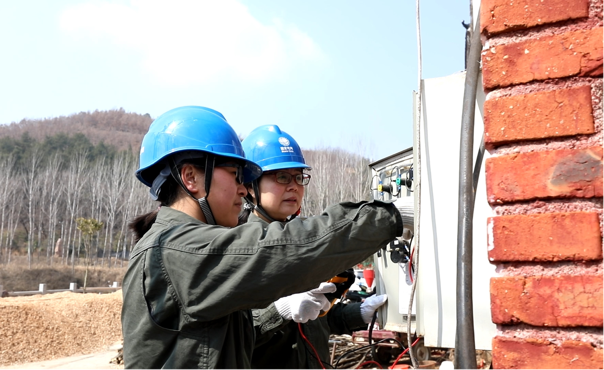 Nanyang, Henan: Quality Power Fuels the Development of Beautiful Villages_fororder_图片1