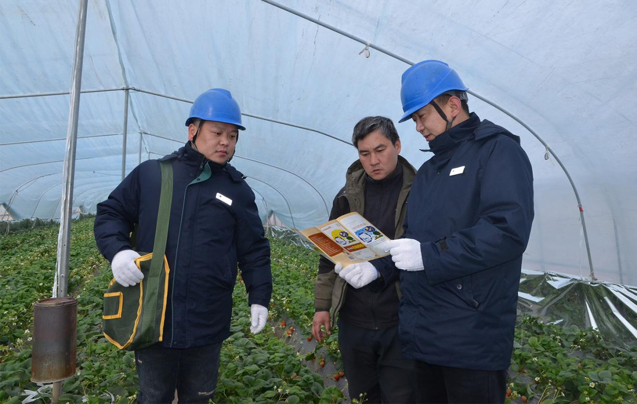 Jiaozuo, Henan: Smart Power Fuels the Vibrant Development of Modern Planting Industry_fororder_图片1