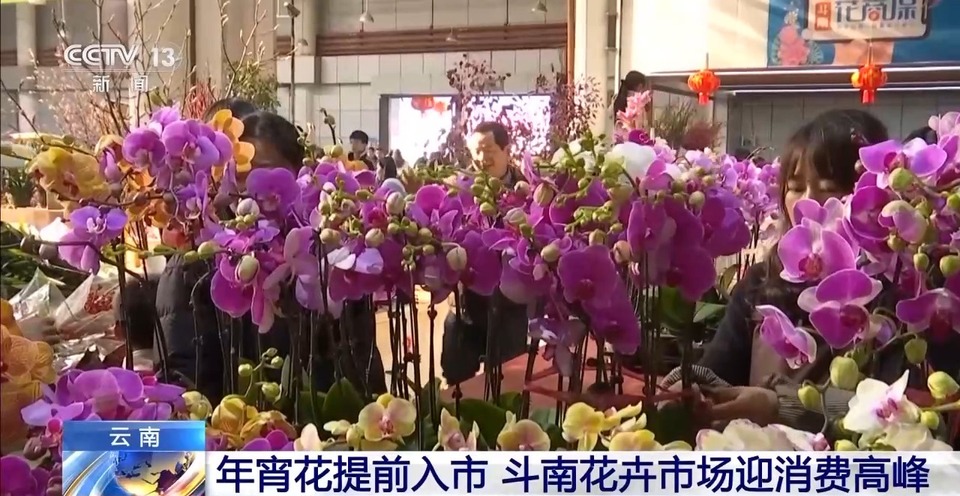 赶大集、岁末添金、买年宵花&hellip;&hellip;你的年货置办好了吗？