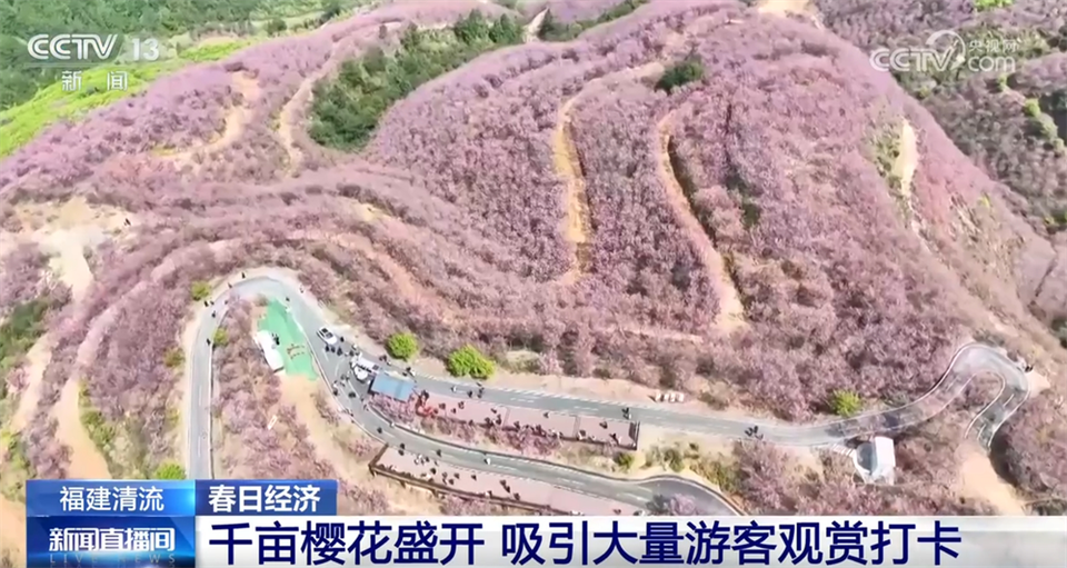 &ldquo;县域游&rdquo;&ldquo;滨海游&rdquo;&ldquo;赏花游&rdquo;热力足 文旅市场释放高质量发展新潜力