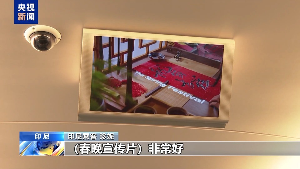 喜迎新春 我驻多国使馆举办春节招待会