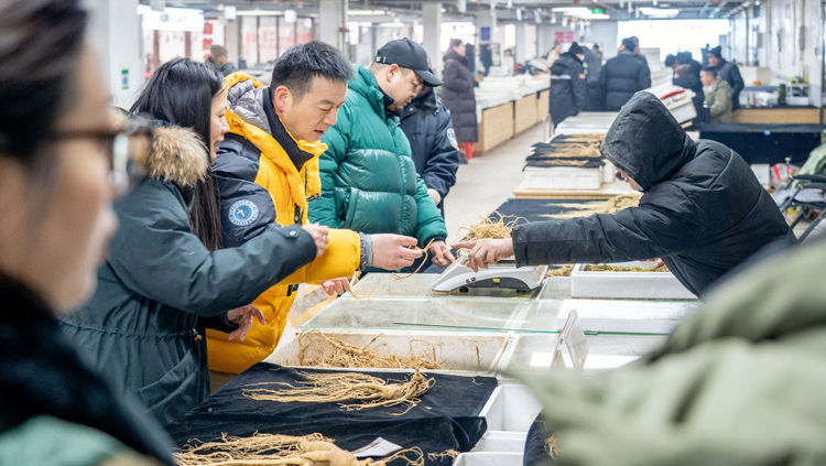 新春走基层|吉林：开工忙起来 发展热腾腾