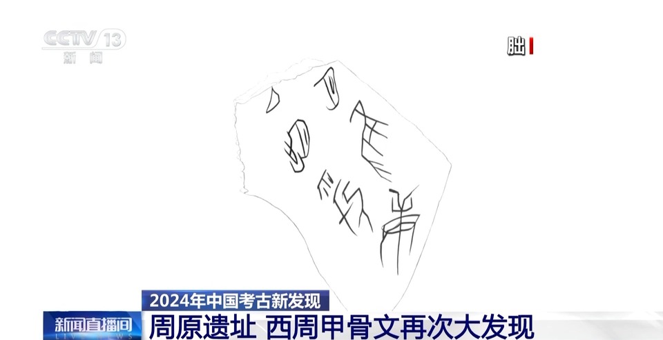 2024考古新发现:古人比你还会“记录生活”