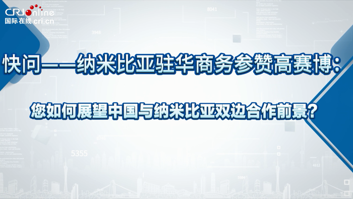 纳米比亚驻华参赞：纳米比亚期待与中国发展双赢的伙伴关系