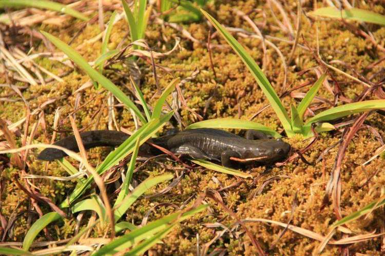 浙江四地缘何入选联合国“生物多样性魅力城市”？