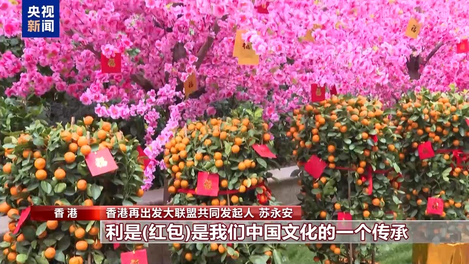 喜乐安宁中国年 香港年宵花市香四溢