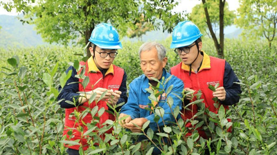 Wenzhou, Zhejiang: "Grid"Services Bring Lasting Happiness