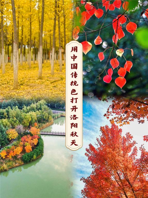 Behold Splendid Luoyang in Autumn Through Traditional Chinese Colors