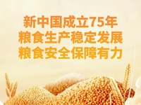 【图解】新中国成立75年我国粮食生产稳定发展 粮食安全保障有力