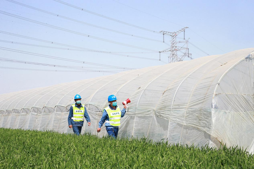 Reliable power supports the growth of modern agriculture in Jiaozuo, Henan Province