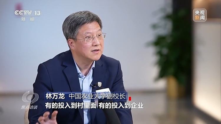 焦点访谈丨如何扎实推进乡村全面振兴？深化改革是关键