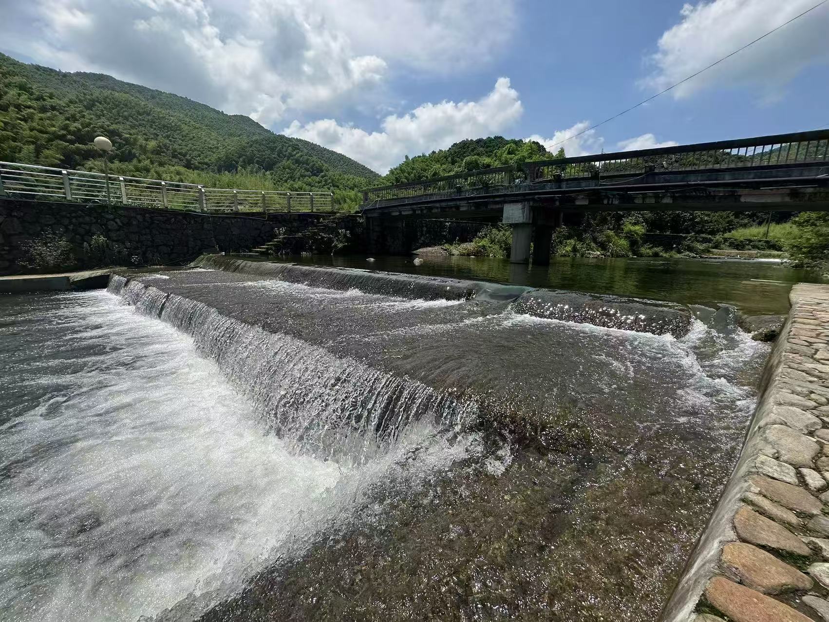 组织强村 产业富村 文化兴村  宁波余姚梨洲街道“三聚力”打造雁湖共富先行村