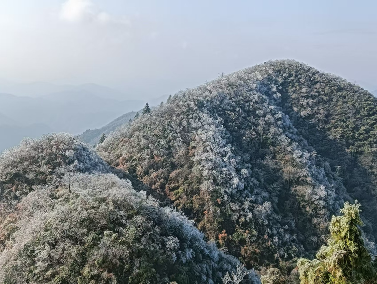 枕山傍水茶生活 泡在安化“漫”时光