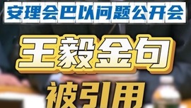 避免“打开丛林法则的潘多拉盒子” 王毅外长慕安会金句在安理会上被引用