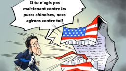 【Actualité en caricatures】 La lettre rugissante de Sam