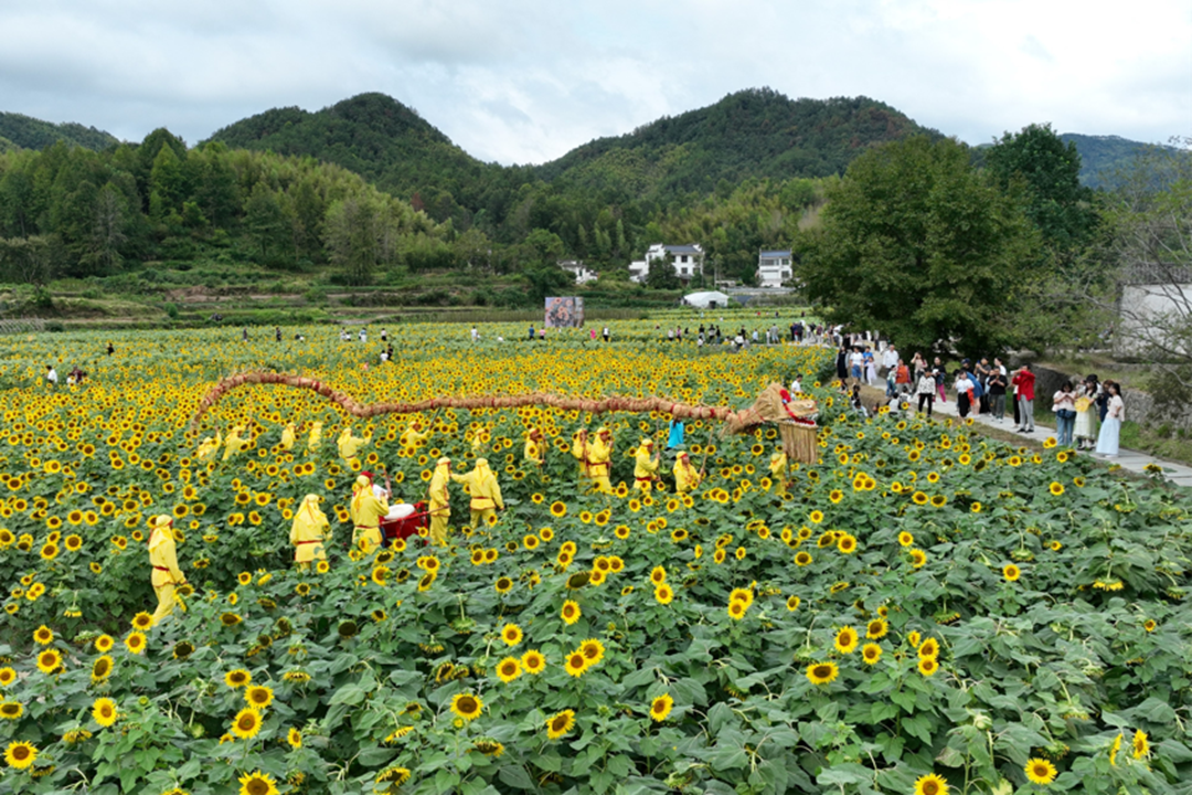 黄山市徽州区：国庆佳节庆盛世 龙腾花海贺华章