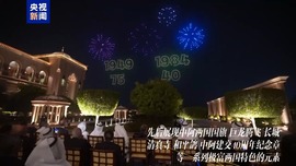 千架无人机点亮阿联酋夜空 有这些熟悉的中国元素→