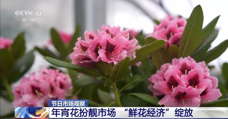 春节临近 “鲜花经济”绽放、农贸市场“热气腾腾”