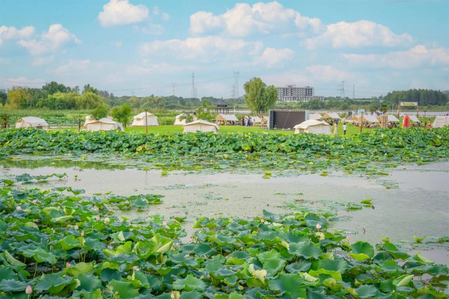 Caidian，Wuhan: The "Hometown of Chinese Lotus Roots" Blossoms on the Global Stage_fororder_图片1