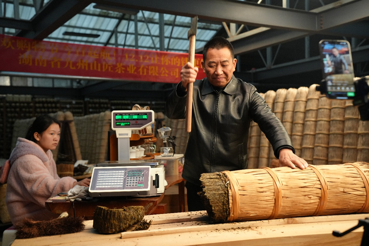 枕山傍水茶生活 泡在安化“漫”时光