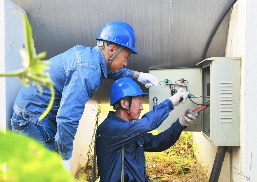 State Grid Nanyang Power Supply Company empowers citrus farmers to achieve higher yields and incomes with stable electricity