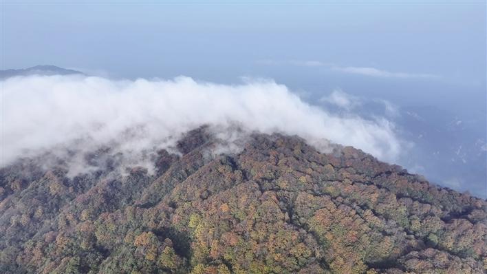 层林尽染八大公山