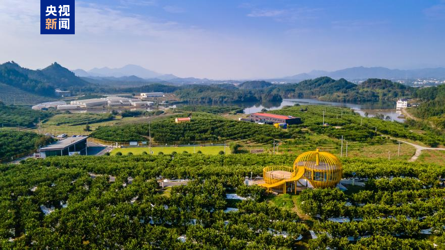 高质地发展调研行丨“山香野果”的“涅槃”新生