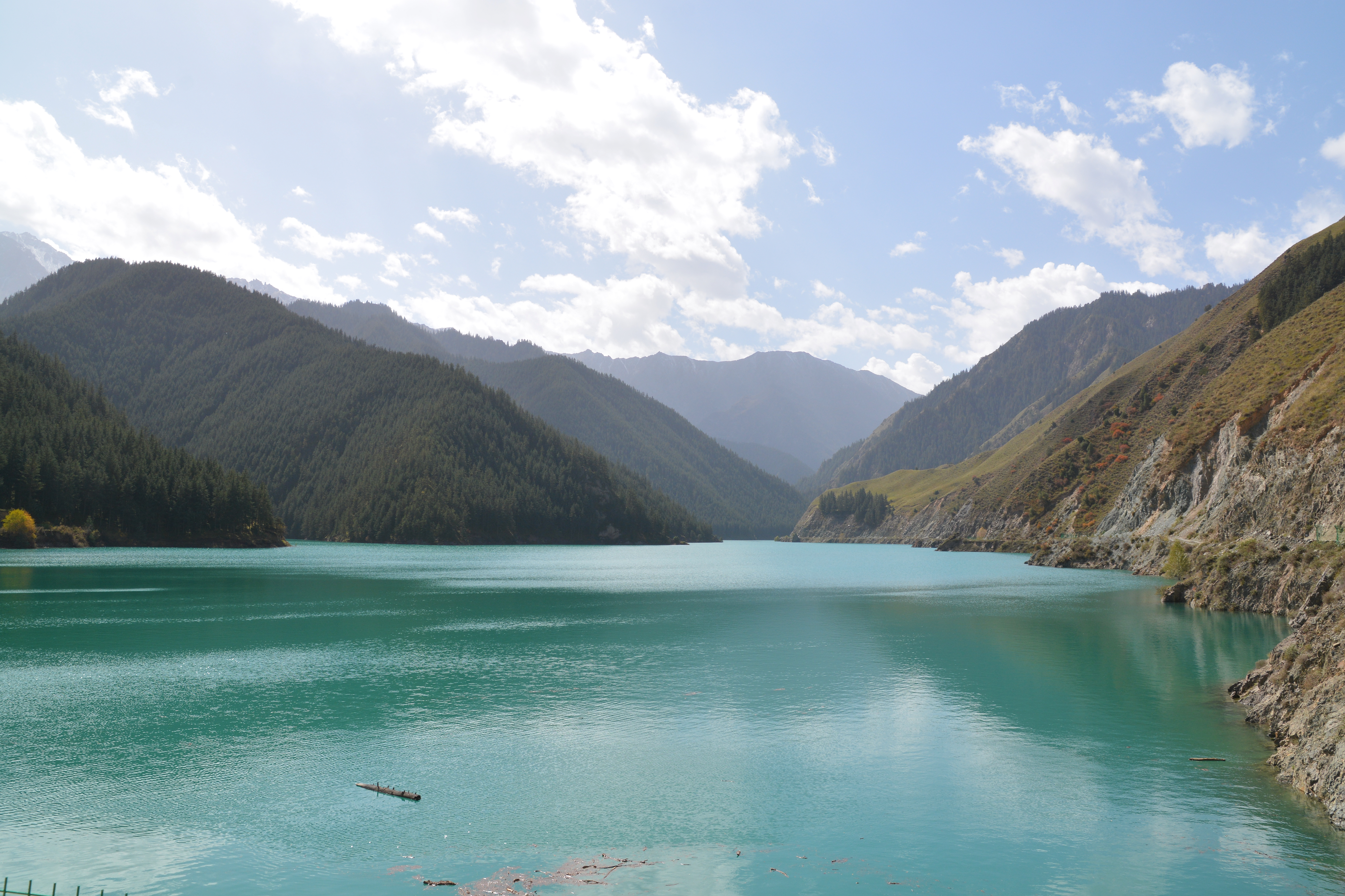 【祁连山下是我家】甘肃民乐海潮坝：千顷林海与海潮湖水共绘绿水青山图