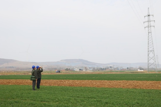 The State Grid Nanyang Power Supply Company Implements Multiple Measures to Prevent Kite-related Electric Shock Accidents_fororder_图片2