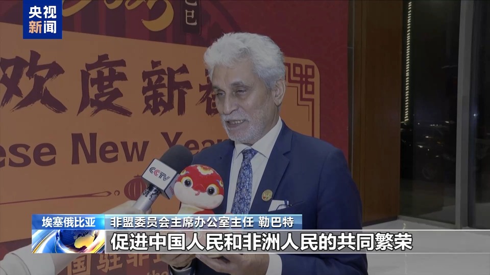 祝福中国年 多国举办2025中国蛇年新春招待会