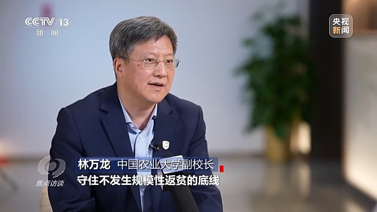 焦点访谈丨如何扎实推进乡村全面振兴？深化改革是关键