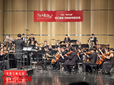 Luoyang's New Year Concerts for 2025 Concluded