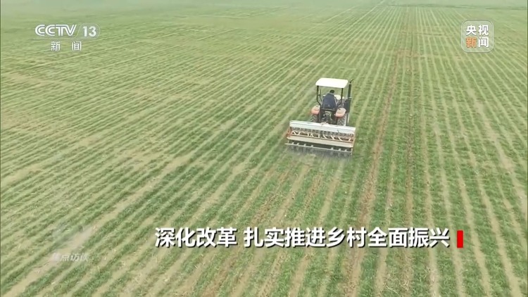 焦点访谈丨如何扎实推进乡村全面振兴？深化改革是关键