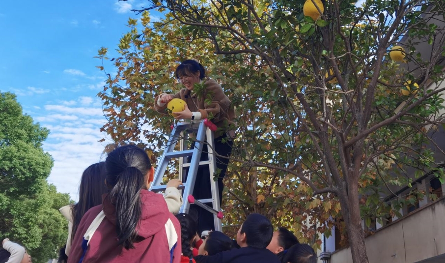 金华市金东区赤松小学举行“‘柚’见美好时节”科学实践活动