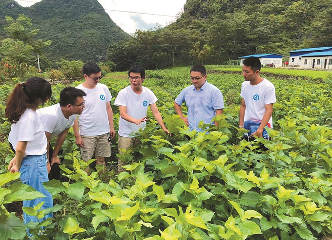 江苏：让“小院”助力乡村发挥更大作用