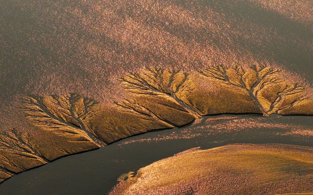 江苏东台：湿地景色美