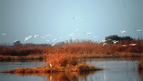 泰州市生物多样性观测网络建设取得重要进展